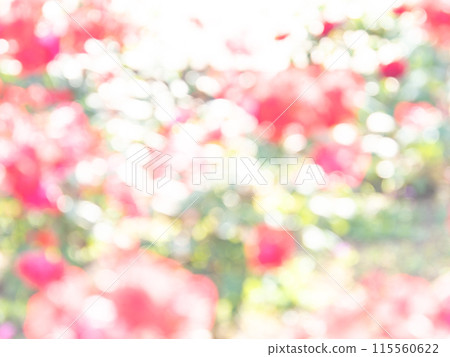 Background material: Reflection of polka dots. A colorful and bright spring image like a flower field. Background material: Reflection of polka dots. A colorful and bright spring image like a flower field. 115560622