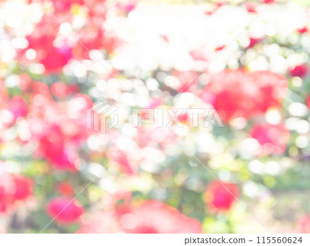 Background material: Reflection of polka dots. A colorful and bright spring image like a flower field. Background material: Reflection of polka dots. A colorful and bright spring image like a flower field. 115560624