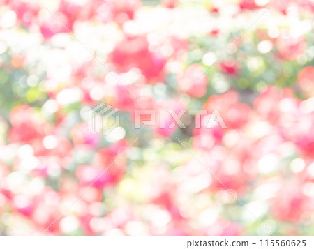 Background material: Reflection of polka dots. A colorful and bright spring image like a flower field. 115560625