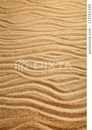 Sand texture. Sandy beach for background. Top view 115561169