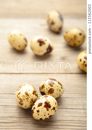 Many quail eggs on grey wooden background Many quail eggs on grey wooden background 115562003