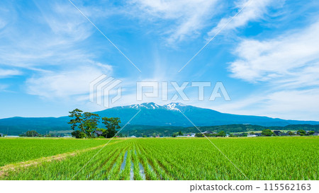 Mt. Chokai as seen from Yuza Town Mt. Chokai as seen from Yuza Town 115562163