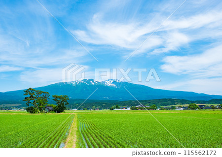 Mt. Chokai as seen from Yuza Town 115562172