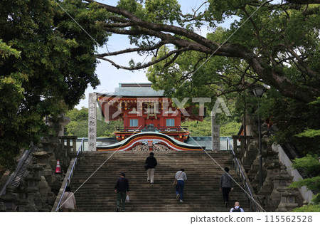 Hofu Tenmangu Shrine, tower gate seen from the bottom of the stone steps on the main approach Hofu Tenmangu Shrine, tower gate seen from the bottom of the stone steps on the main approach 115562528