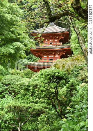 Iwafuneji Temple: A three-story pagoda surrounded by greenery 115562575