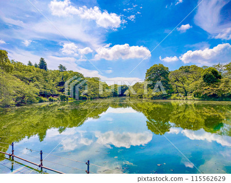 Inokashira Park Inokashira Park 115562629