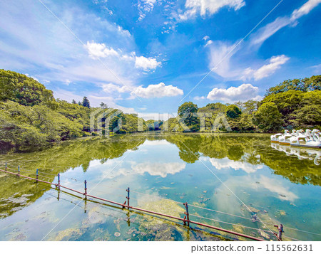 Inokashira Park Inokashira Park 115562631
