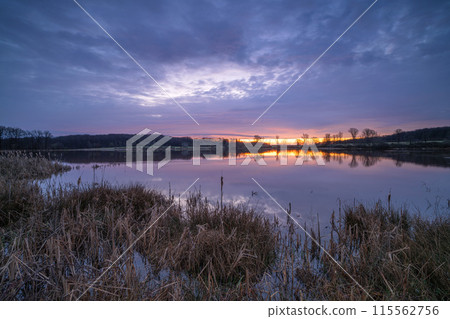 Rodder Maar, Brohl Valley, Rhineland-Palatinate, Germany 115562756