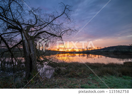 Rodder Maar, Brohl Valley, Rhineland-Palatinate, Germany Rodder Maar, Brohl Valley, Rhineland-Palatinate, Germany 115562758
