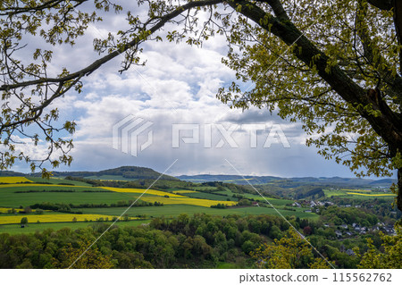 Brohl Valley, Rhineland-Palatinate, Germany Brohl Valley, Rhineland-Palatinate, Germany 115562762