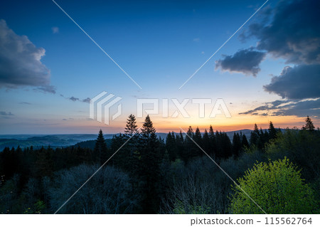 Eifel, Rhineland-Palatinate, Germany 115562764