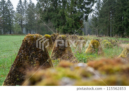 Westwall, Eifel, North Rhine Westphalia, Germany Westwall, Eifel, North Rhine Westphalia, Germany 115562853