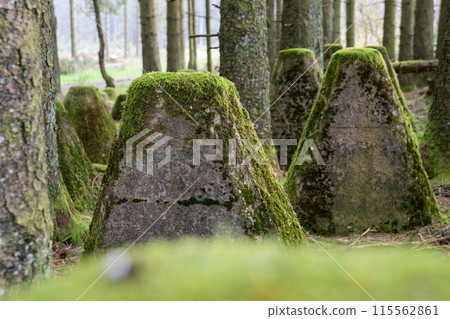 Westwall, Eifel, North Rhine Westphalia, Germany 115562861