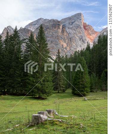 Prags valley, South Tirol, Italy, Europe Prags valley, South Tirol, Italy, Europe 115562907