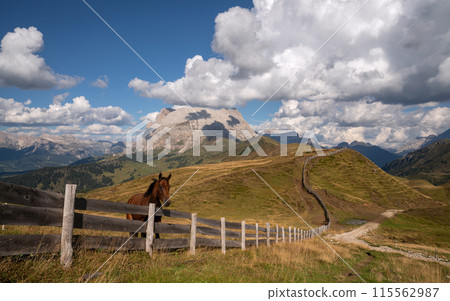 South Tirol with famous Schlern mountain, Italy, Europe 115562987