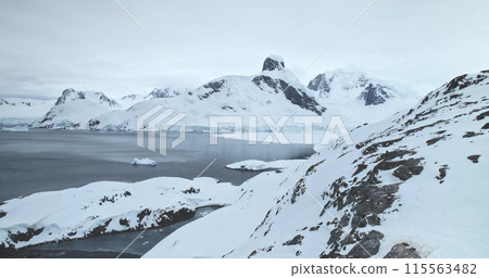 Fly over penguins resting snow covered rock in Antarctica. Arctic slope hill over cold polar ocean, mountain range in background. Explore wildlife habitat in Antarctica. South Pole discover and travel 115563482