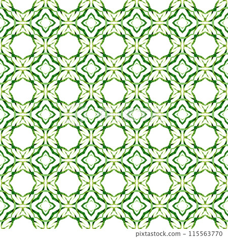 Organic tile. Green grand boho chic summer design. Trendy organic green border. Textile ready radiant print, swimwear fabric, wallpaper, wrapping. 115563770