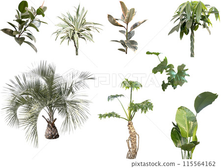 Cutout material set - Houseplants 115564162