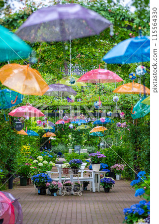 英國花園繡球花展 115564330