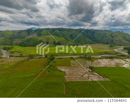 Top view of mountain slopes and agricultural land with paddy fields and river. Mindanao, Philippines. Top view of mountain slopes and agricultural land with paddy fields and river. Mindanao, Philippines. 115564641
