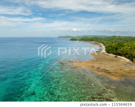 Drone view of turquoise sea water with coral reefs in tropical island. Santa Fe, Tablas, Romblon. Philippines. 115564659