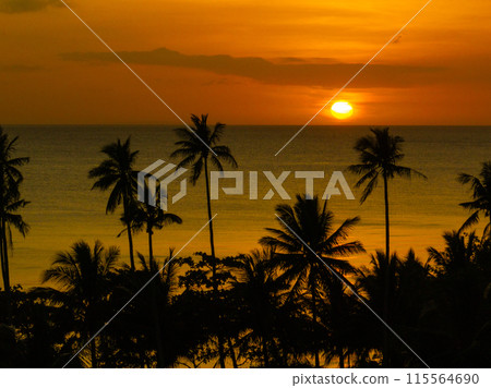 Scenic landscape of golden sunset over the sea and coconut trees in beach in Santa Fe, Tablas, Romblon. Philippines. Scenic landscape of golden sunset over the sea and coconut trees in beach in Santa Fe, Tablas, Romblon. Philippines. 115564690