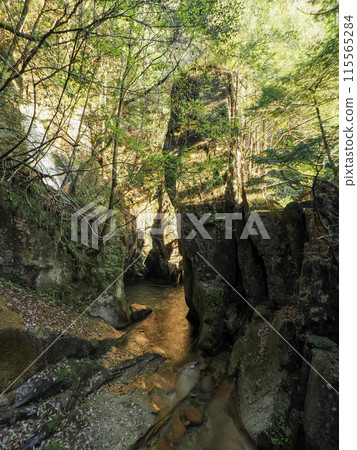 Jakuchikyo Goryu Falls 115565284