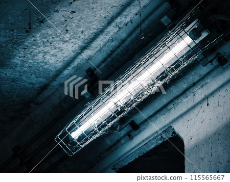 Cobweb-covered lighting and an old underground passage made of exposed concrete Cobweb-covered lighting and an old underground passage made of exposed concrete 115565667