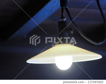 A bare bulb indoor light hanging from the ceiling 115565882