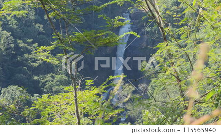 Slow motion video of hidden waterfall flowing in lush jungle 115565940