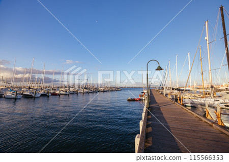 Melbourne Skyline from Williamstown in Australia Melbourne Skyline from Williamstown in Australia 115566353