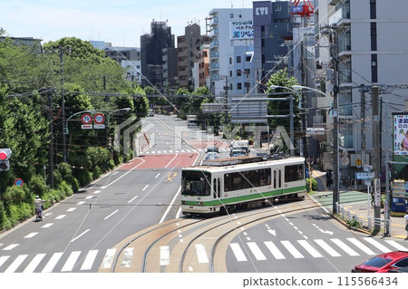 都電荒川線列車在飛鳥山車站附近行駛 都電荒川線列車在飛鳥山車站附近行駛 115566434