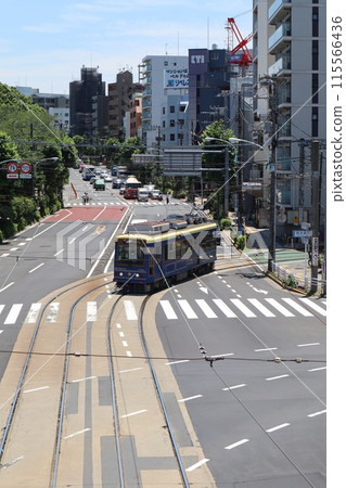 都電荒川線列車在飛鳥山車站附近行駛 115566436