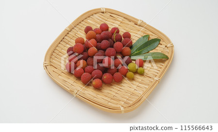 Fruit of a bamboo grove 115566643