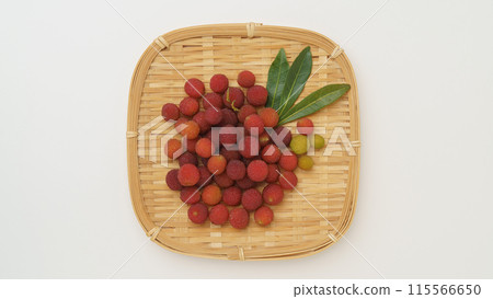 竹林的果實 竹林的果實 115566650