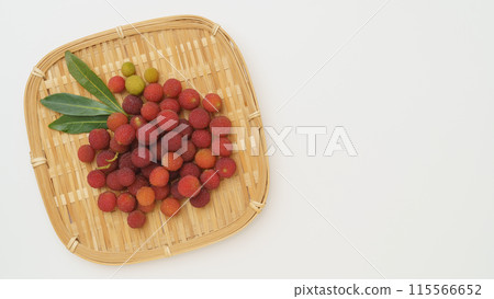 竹林的果實 115566652