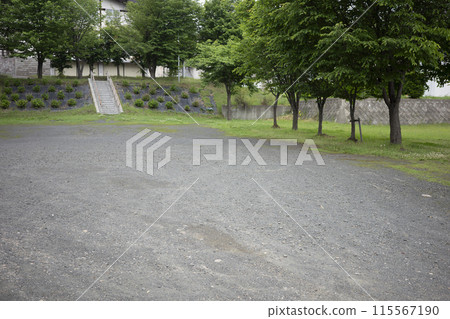 Kitami Shrine surrounding scenery 115567190