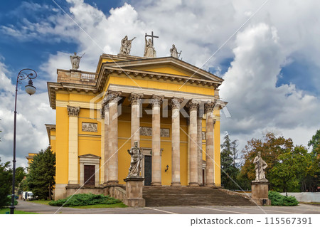 Cathedral Basilica of Eger, Hungary 115567391
