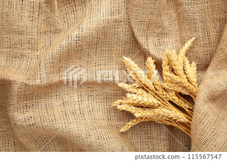 Spikelets of wheat on sackcloth background with copy space Spikelets of wheat on sackcloth background with copy space 115567547