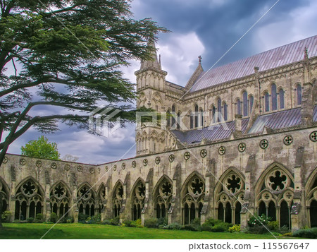 Salisbury Cathedral, England Salisbury Cathedral, England 115567647