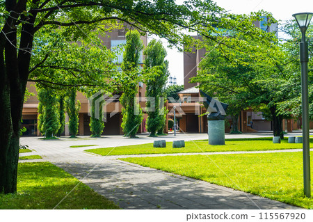 森林中的東京外國語大學府中校區 森林中的東京外國語大學府中校區 115567920