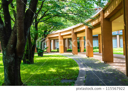Tokyo University of Foreign Studies - Fuchu Campus in the woods 115567922