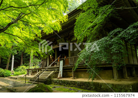 Nara Prefecture, Muroji Temple Main Hall in Fresh Greenery 115567974