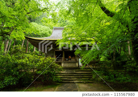 奈良縣，新綠的室寺本殿 115567980