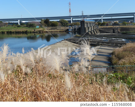 寒川取水口堰 相模川 神奈川縣 寒川取水口堰 相模川 神奈川縣 115568008