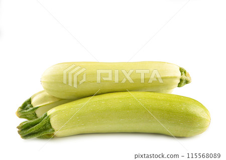 Squash vegetable marrow zucchini isolated on white background Squash vegetable marrow zucchini isolated on white background 115568089