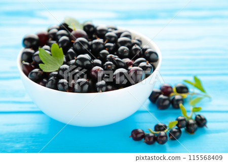 Black currant in a white bowl on blue wooden background 115568409