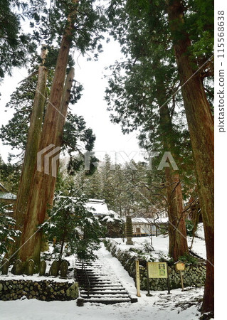 冬天的慈光寺(新潟縣) 冬天的慈光寺(新潟縣) 115568638