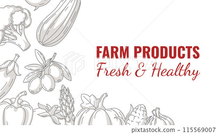 Fresh and healthy farm products, vector horizontal banner with minimalist frame of vegetables icons. Space for text, isolated background. Organic food, natural veggies. For poster, menu, flyer 115569007
