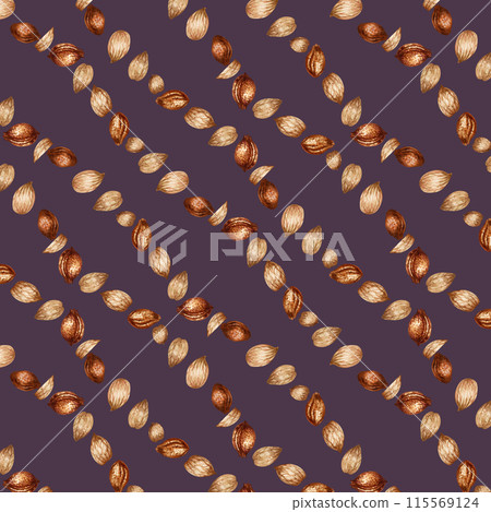 Seamless pattern with watercolor apricot kernels and seeds for design templates for fabric, textiles, wrapping paper, wallpapers, apricot oil in medicine, aromatherapy, cosmetology and cooking 115569124
